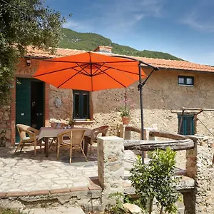 Casa Berti - Urlaub Im Olivenhain Ferienhaus Camaiore